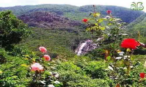 restaurante-e-chales-boa-vista