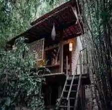 Chalés Mirante de Pipa - Tibau do Sul | RN