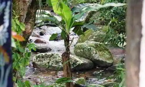 chales-refugio-da-agua-branca