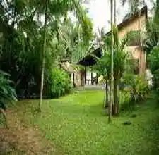 Chalés Bamboo - São Sebastião | SP