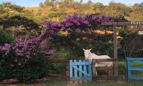 fazenda-paisagem-chales