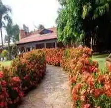 Pousada Chalé das Flores - Sertaozinho | SP
