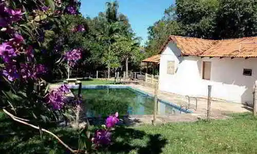 Sítio Eucalyptus, Pirenópolis, Goiás, Brasil, Festa no sitio, Casamento sitio | GO