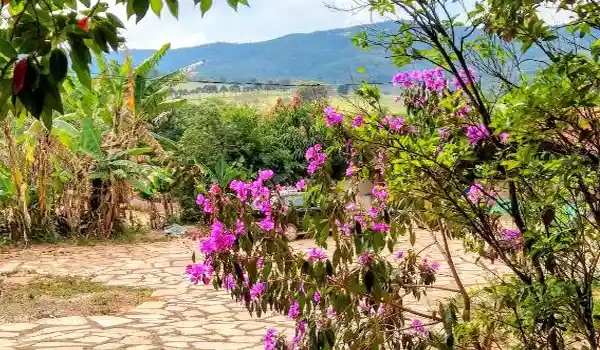 sitio-vale-das-montanhas