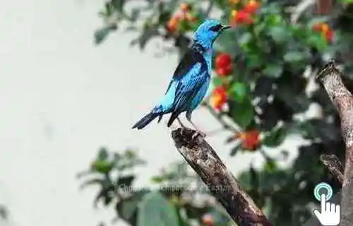 Stio Tangar - Itatiaia | RJ