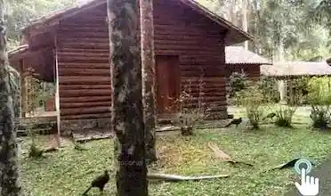 Sítio Tangará, Itatiaia, Rio de Janeiro, Brasil, Festa no sitio, Casamento sitio | RJ