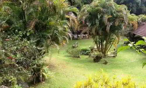 Sitio Recanto Lumiar, Lumiar - Nova Friburgo, Rio de Janeiro, Brasil, Festa no sitio, Casamento sitio | RJ