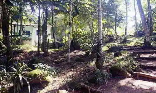 Sitio Namaste Paraty, Paraty, Rio de Janeiro, Brasil, Festa no sitio, Casamento sitio | RJ