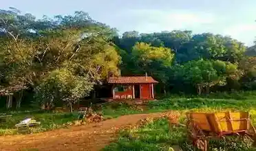 Cabana Sítio Amborella, Riozinho, Rio Grande do Sul, Brasil, Festa no sitio, Casamento sitio | RS