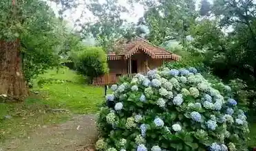 Sítio Aconchegante com Clima de Serra, Santa Maria do Herval, Rio Grande do Sul, Brasil, Festa no sitio, Casamento sitio | RS