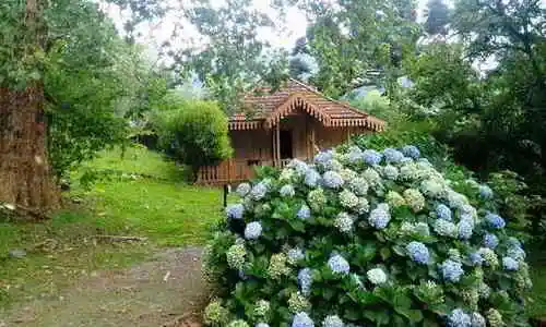 Sítio Aconchegante com Clima de Serra, Santa Maria do Herval, Rio Grande do Sul, Brasil, Festa no sitio, Casamento sitio | RS