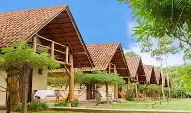 Sítio Nona Lurdes, São João Batista, Santa Catarina, Brasil, Festa no sitio, Casamento sitio | SC