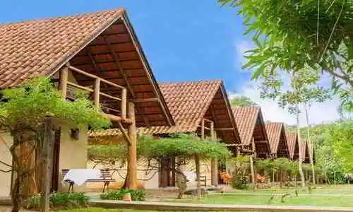 Sítio Nona Lurdes, São João Batista, Santa Catarina, Brasil, Festa no sitio, Casamento sitio | SC