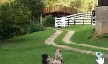 Sítio da Dinda, Campos do Jordão, São Paulo, Brasil, Festa no sitio, Casamento sitio | SP