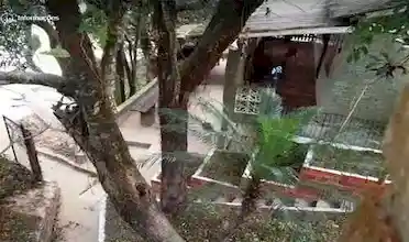 Sítio no Rio Paranapanema, Paranapanema, São Paulo, Brasil, Festa no sitio, Casamento sitio | SP