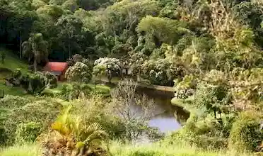 Sítio Matão, Santo Antonio do Pinhal, São Paulo, Brasil, Festa no sitio, Casamento sitio | SP