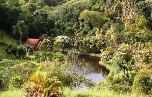Sítio Matão, Santo Antonio do Pinhal, São Paulo, Brasil, Festa no sitio, Casamento sitio | SP